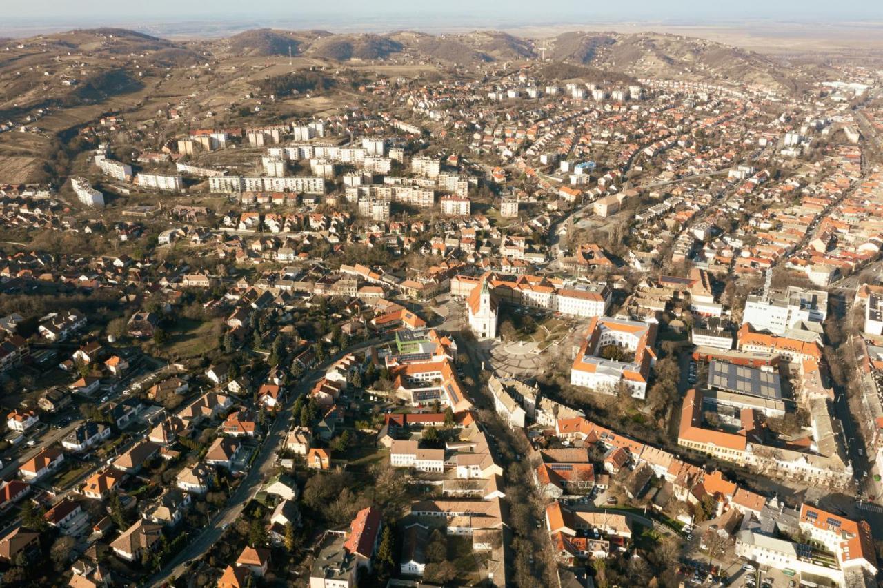 Munkacsy Villa - Szekszárd エクステリア 写真